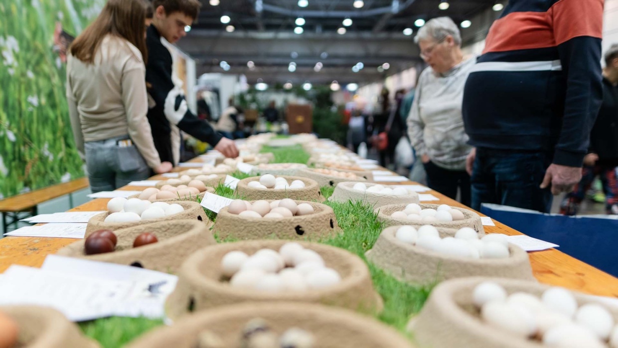 Auf der HAUS-GARTEN-FREIZEIT betrachten mehrere Menschen einen langen Tisch mit vielen kleinen Nestern, die mit Eiern in verschiedenen Farben gefüllt sind.