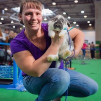 Eine Frau hält einen Hasen in die Kamera.