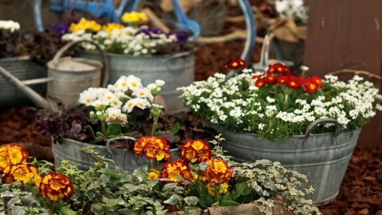 Garten und Grünes Wohnen HausGartenFreizeit