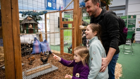 Eine Familie schaut sich Tiere an.