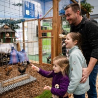 Eine Familie schaut sich Tiere an.
