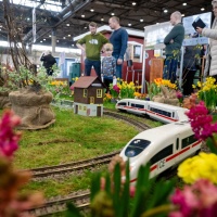 Eine Modelleisenbahnstrecke im grünen.
