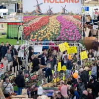 Eine Ausstellung zum Thema Holland.