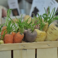 Slow & sächsisch Landhausküche