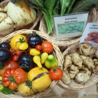 Slow & sächsisch Landhausküche