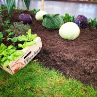 Stadtverband Leipzig der Kleingärtner e. V. 