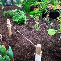 Stadtverband Leipzig der Kleingärtner e. V. 