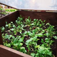 Stadtverband Leipzig der Kleingärtner e. V. 