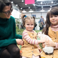 Zwei Kinder haben einen Hasen auf dem Schoß.
